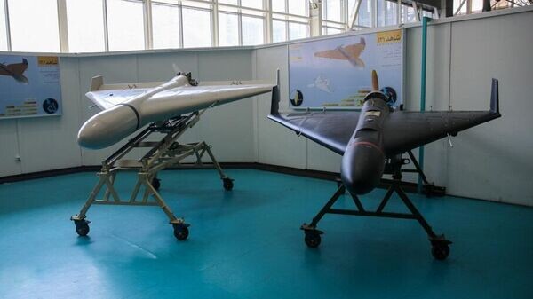    © commons.wikimedia.org / S. Hossein Alaei