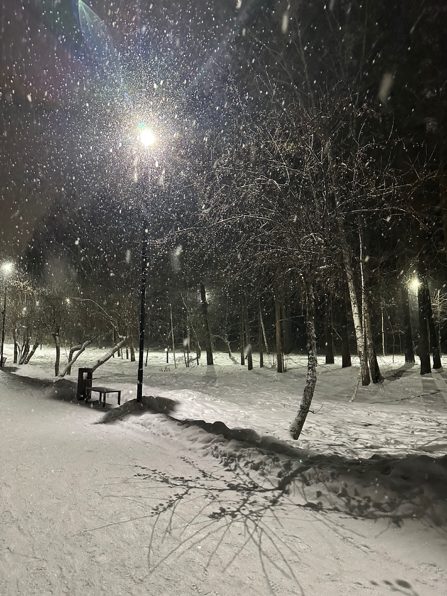 Фото Автора.