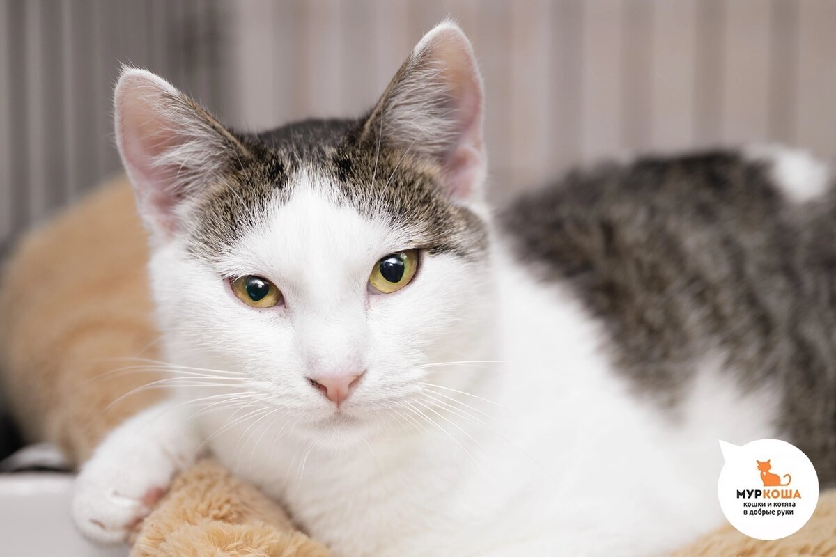 Вэлли жила во дворе дома.