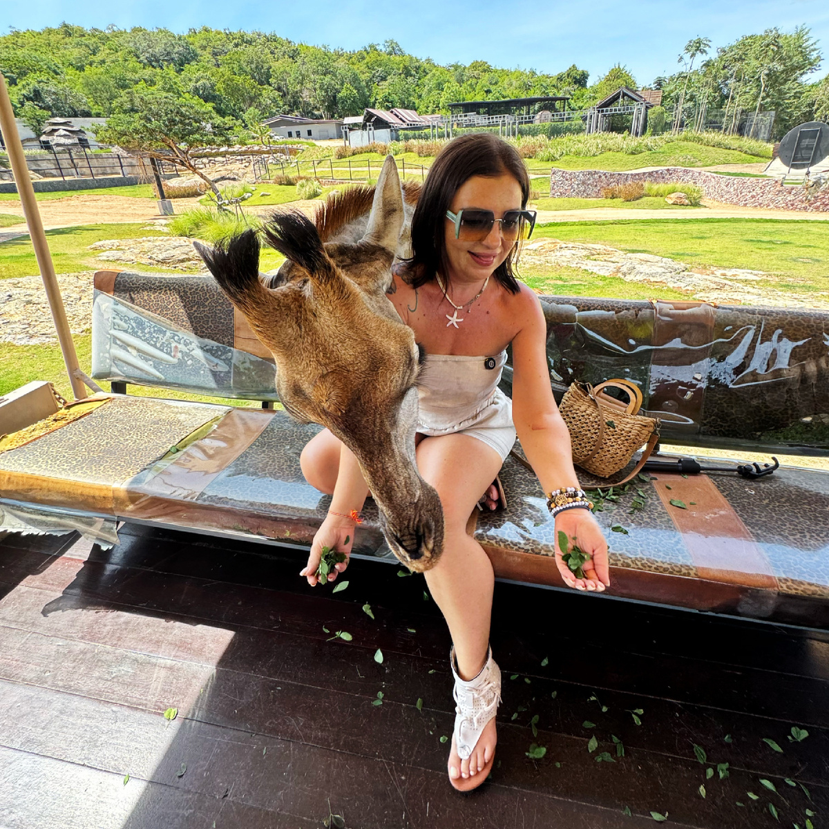 Хуа Хин сафари