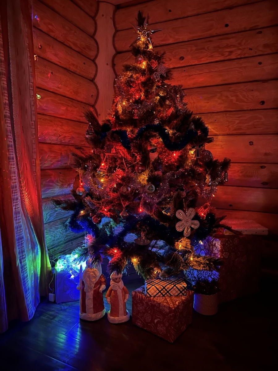 Наша Ёлочка!