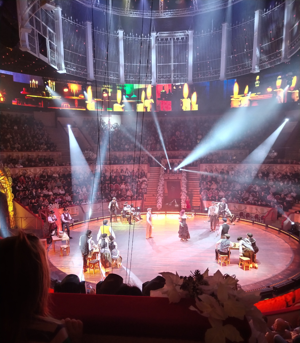 Цирковое представление в СПб, 31 декабря 2024 г, из личных фото автора Лидии Шатиловой