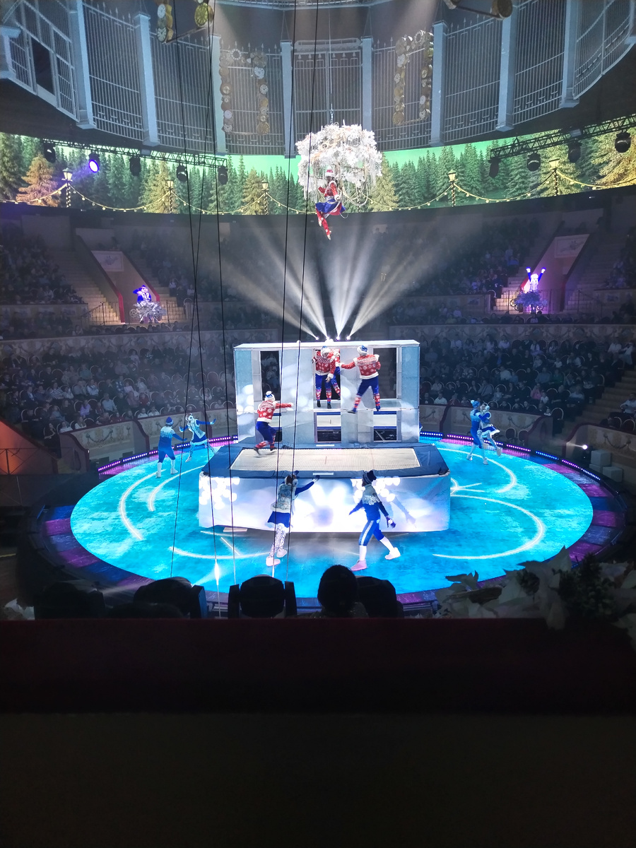 ЦИРКОВОЕ ПРЕДСТАВЛЕНИЕ , 31 ДЕКАБРЯ 2024 Г, из личных фото автора Лидии Шатиловой