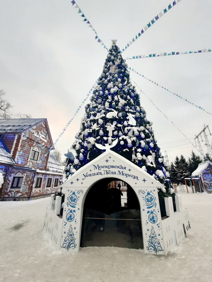 Ёлочка в Московской усадьбе Деда Мороза 
