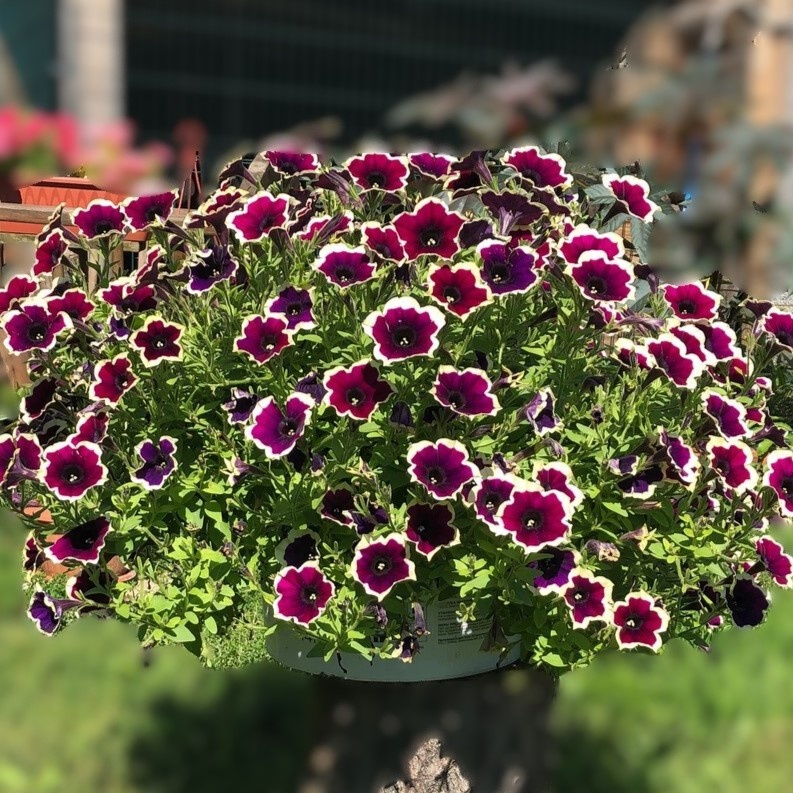 Фото из личного архива