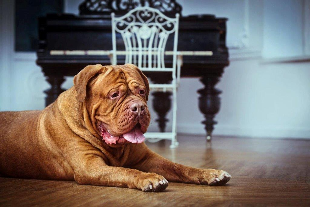 Фото с biocontrol.ru