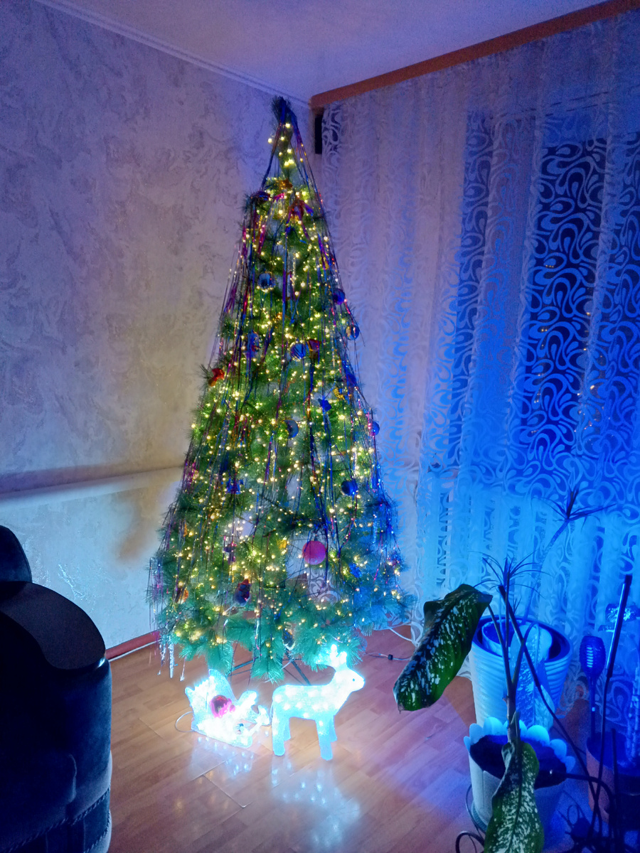 Включаю гирлянду каждый день! Праздник идет 💫