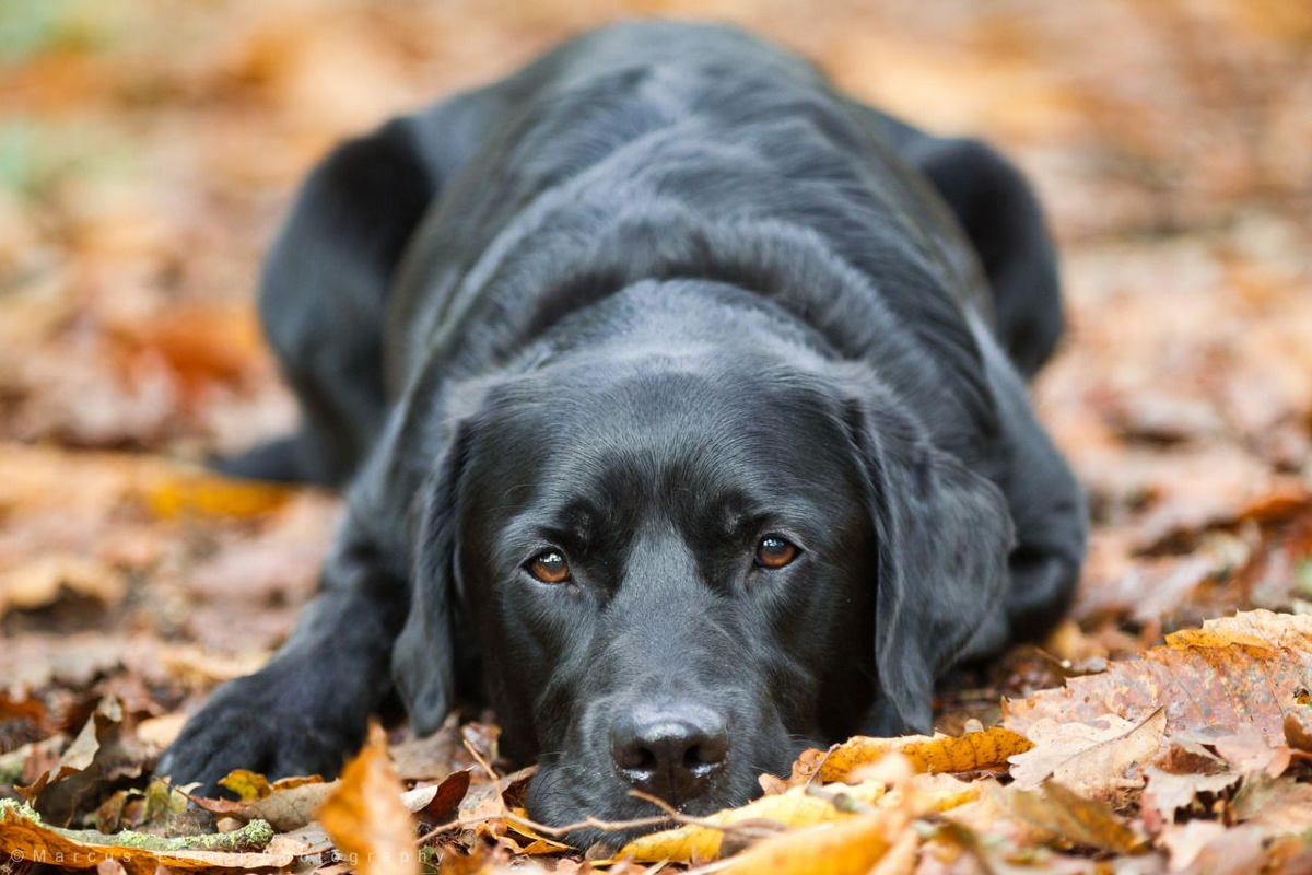 Фото с Pinterest для примера