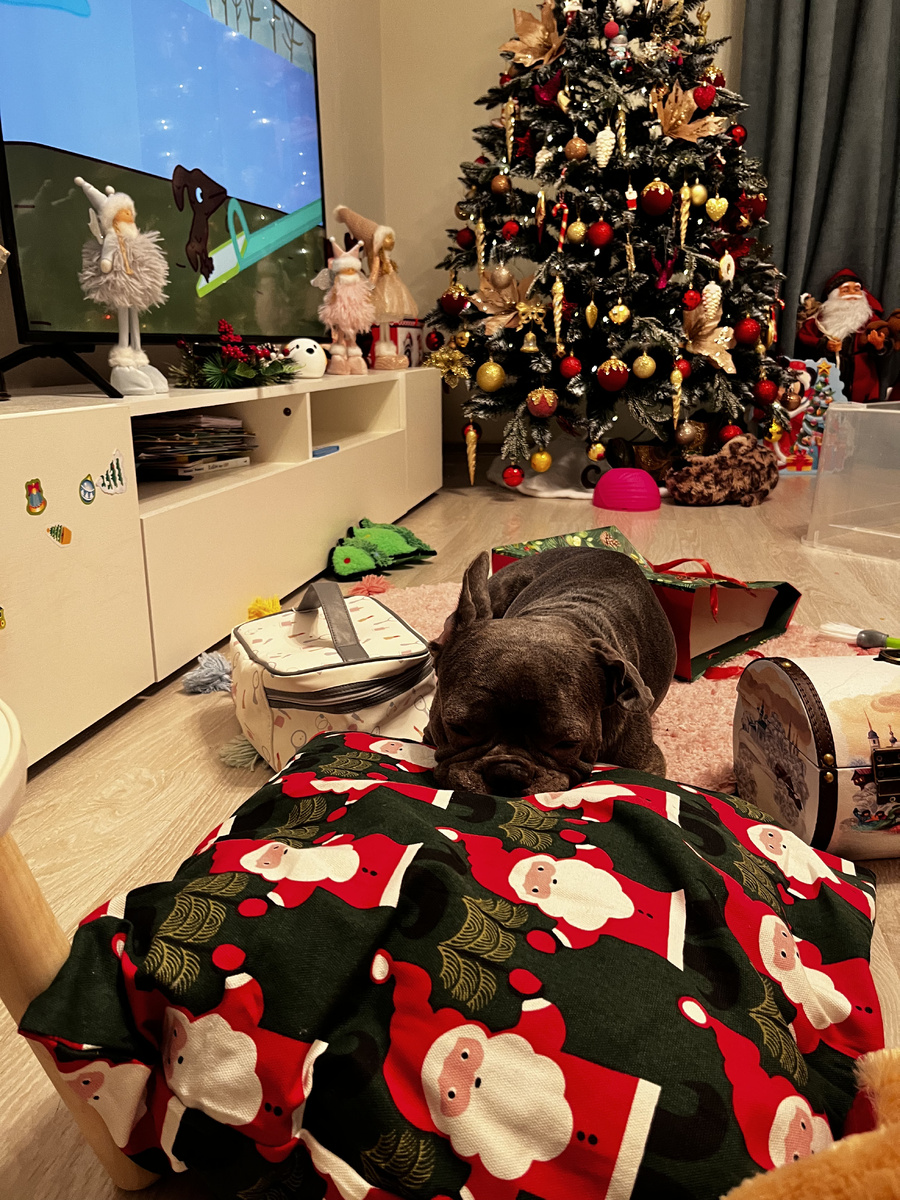 Лулу отдыхает 