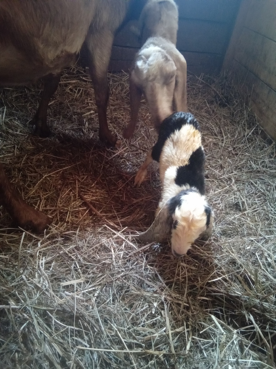 Фото автора.