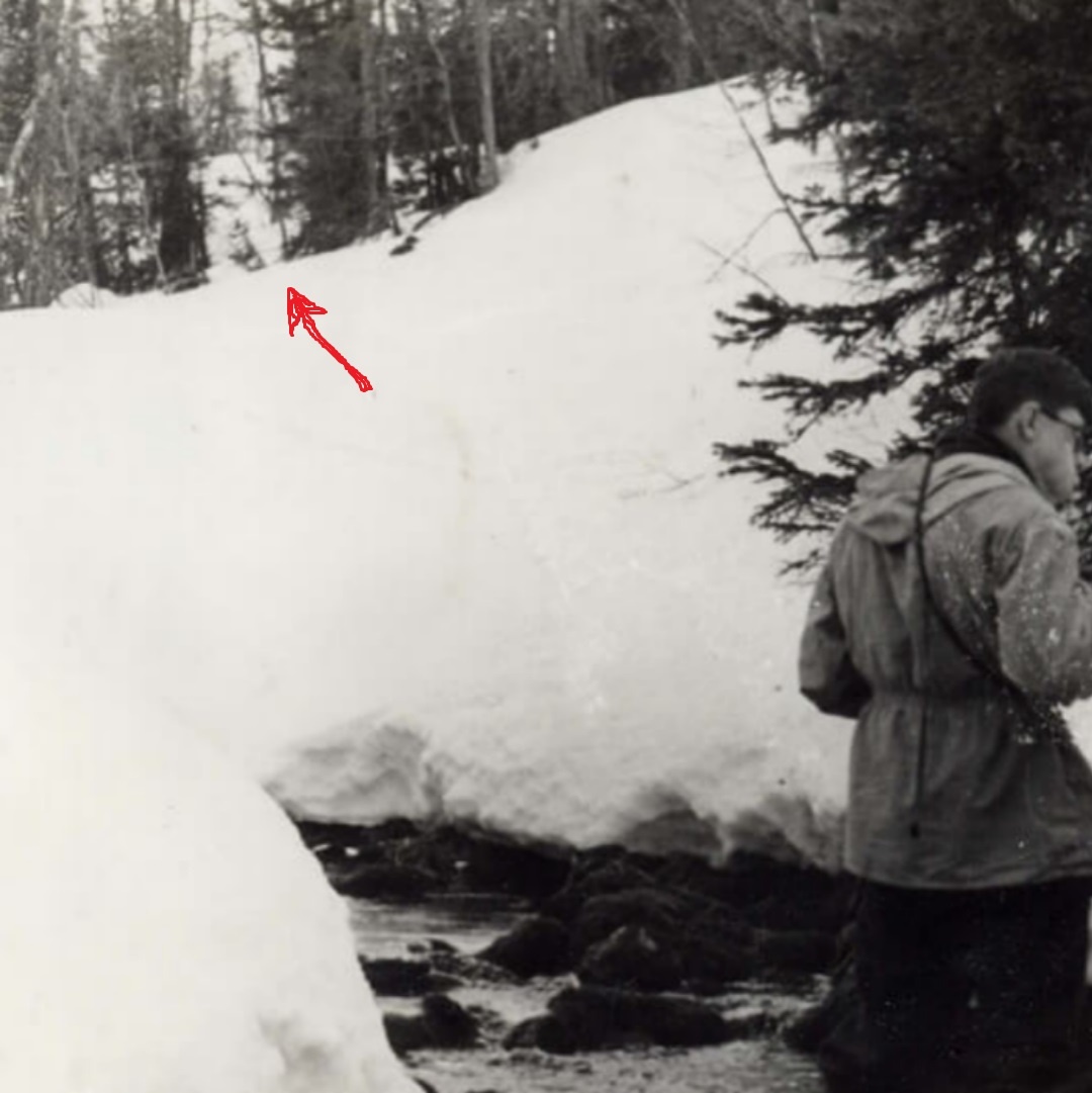 Коллаж автора. Фото из открытого доступа.