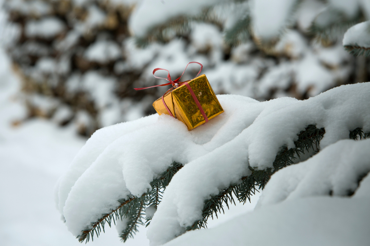 Nikolay Gyngazov/Global Look Press