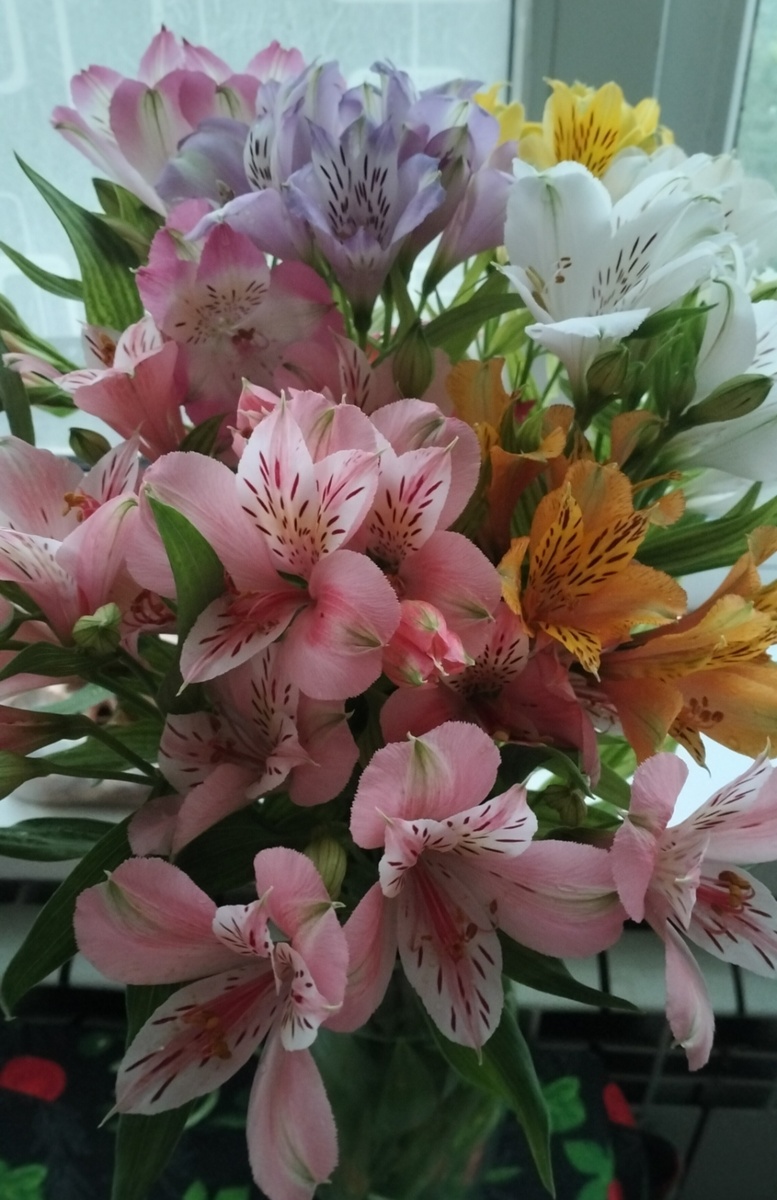 Вот такой букетик можно собрать из альстромерии разных цветов.