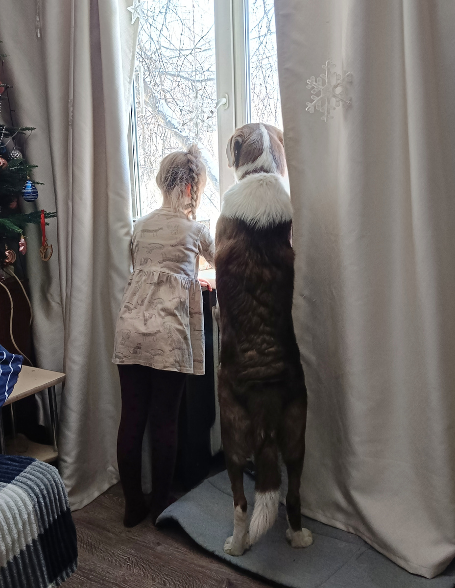 Переживают, заведет ли дед машину