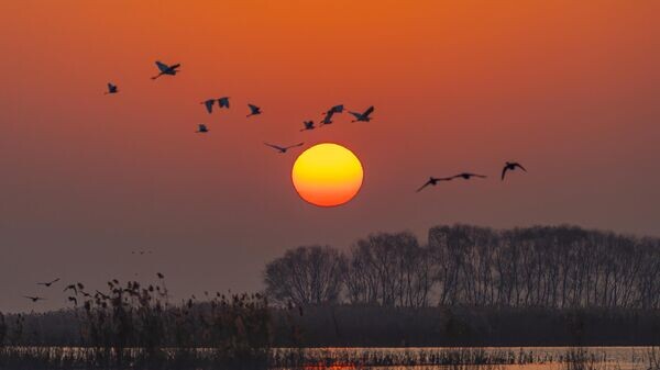    © Getty Images / VCG