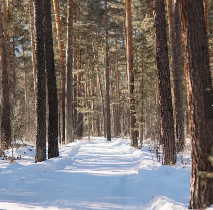 С сайта турбазы