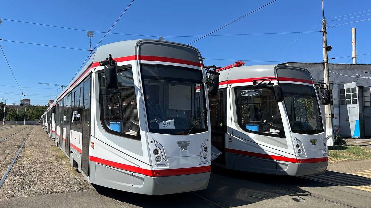    Фото: телеканал «Краснодар»