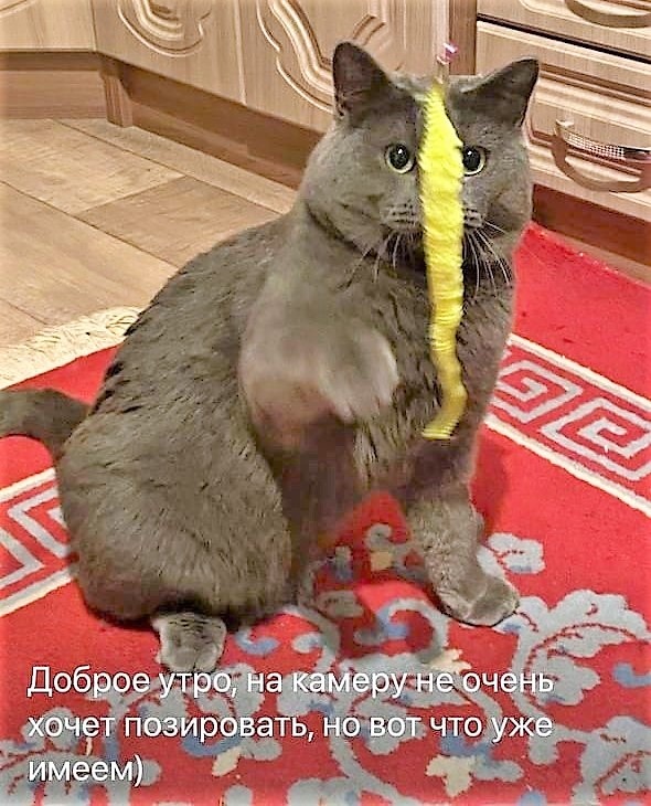 Фото из архива автора.