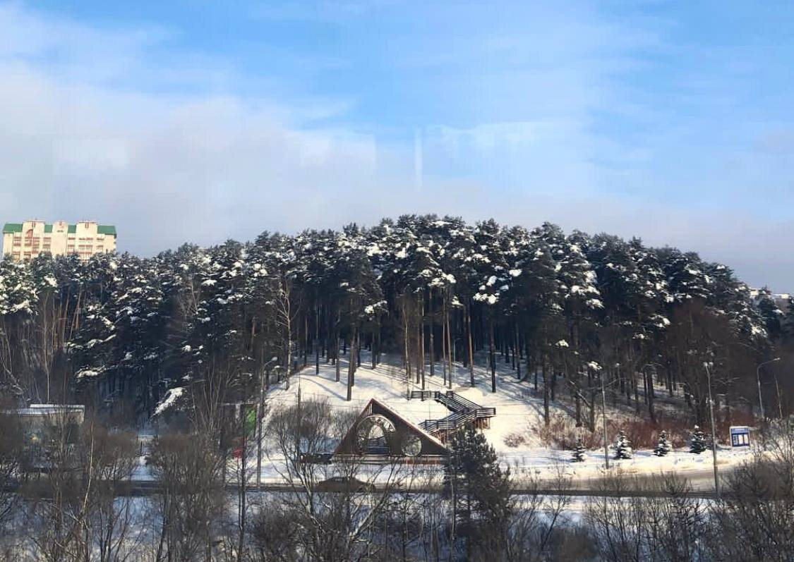 Вид на Тимоховский парк в черте города: то самое «видное» расположение