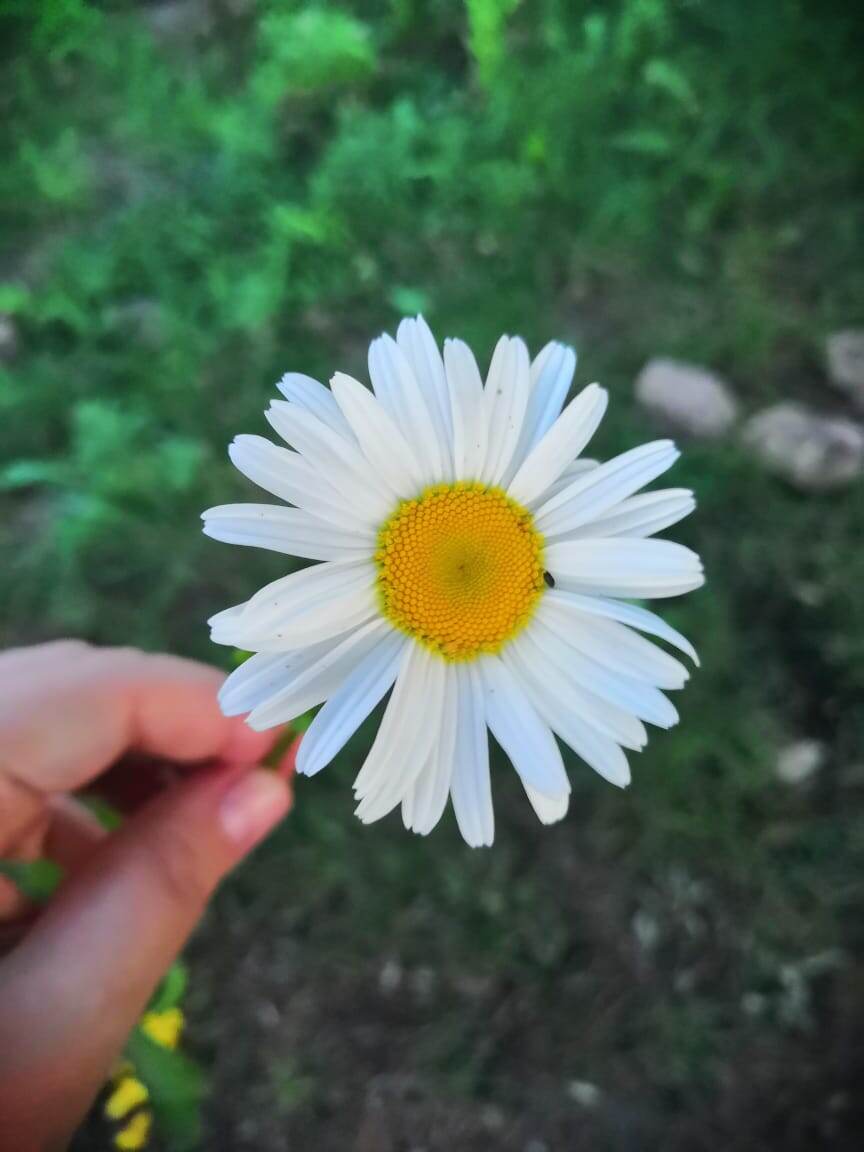 Фото автора канала.