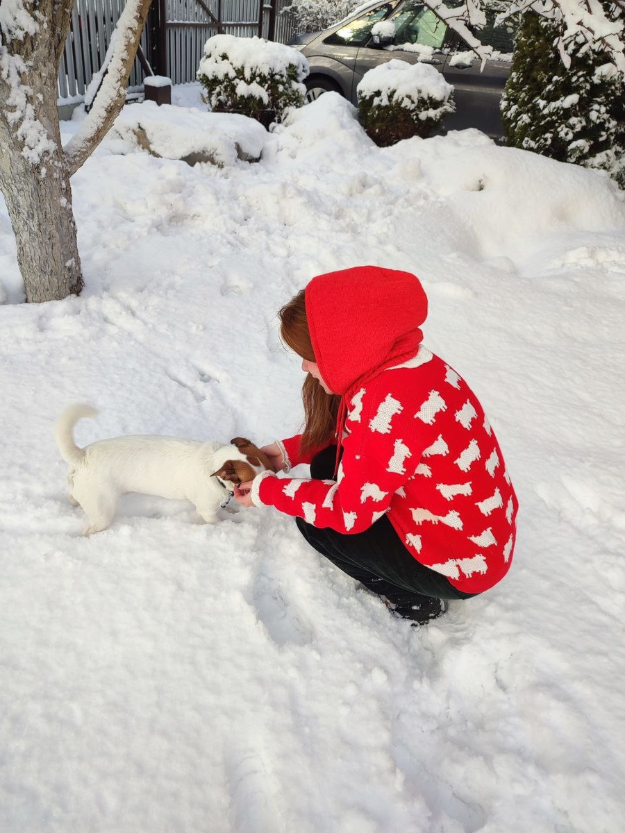 Снег отдельно