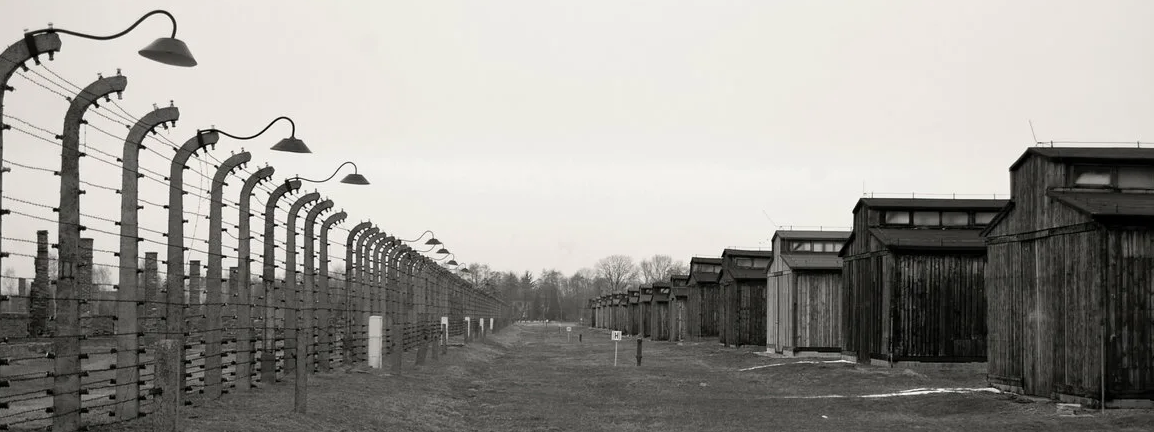 фото в свободном доступе
