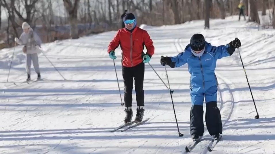     Источник: shestakovblog