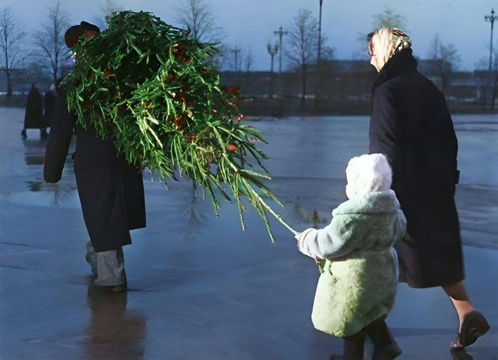 Маленькая помощница