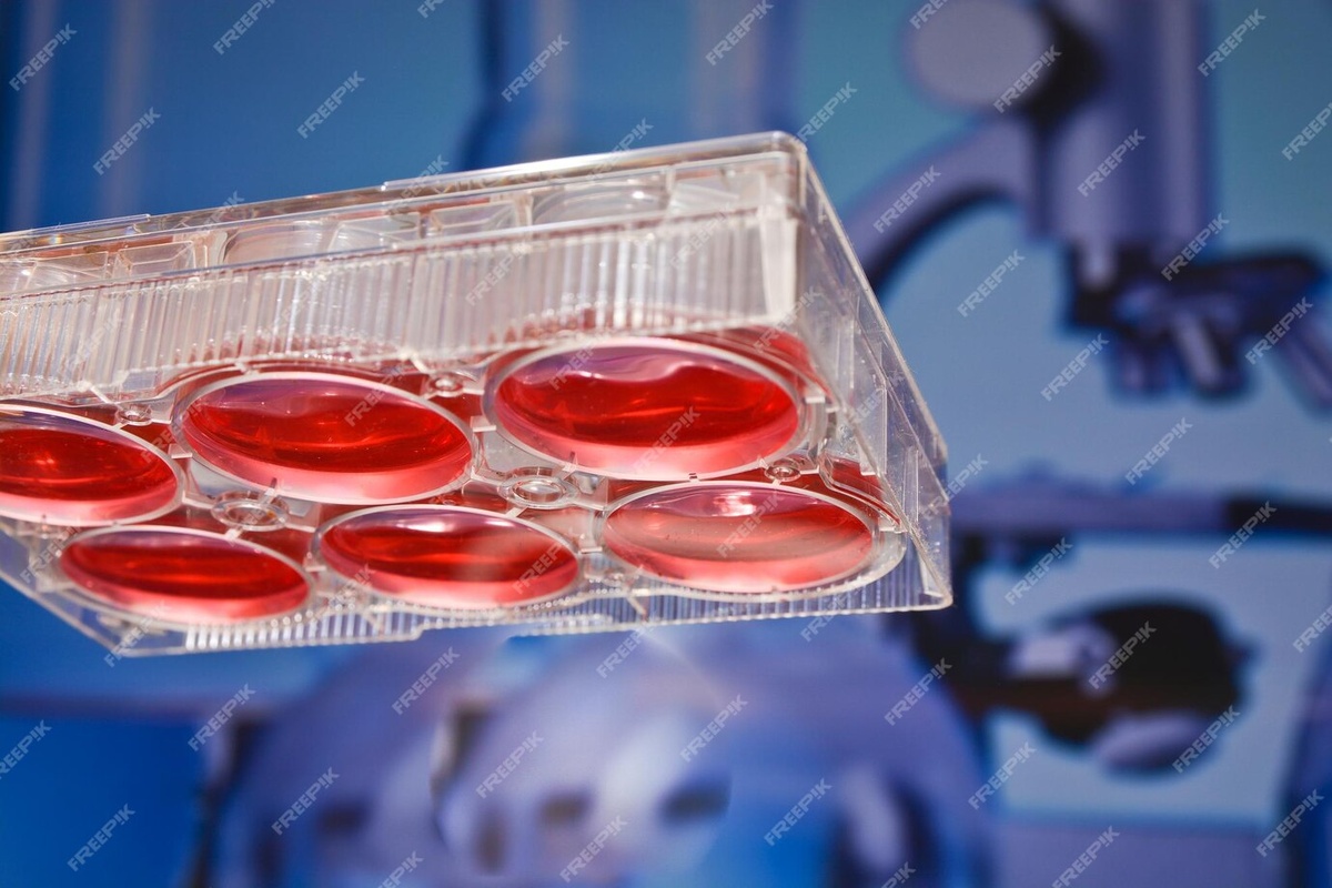 Создание платформы для культивирования циркулирующих в крови раковых клеток является прорывом в исследовании рака молочной железы