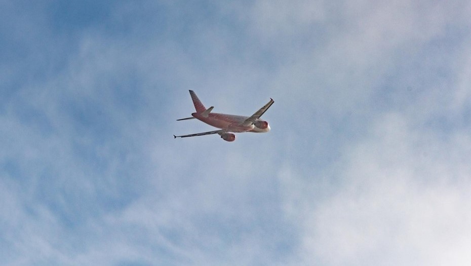    Автор фото: Тихонов Михаил