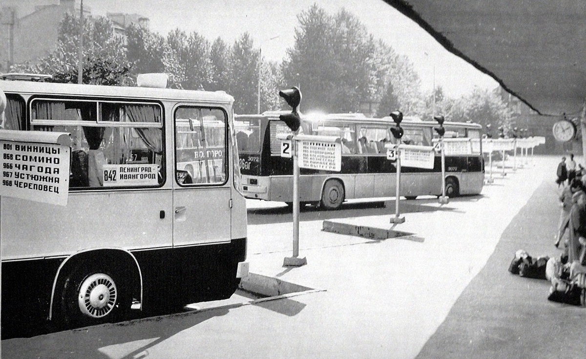 Фото из сети интернет.