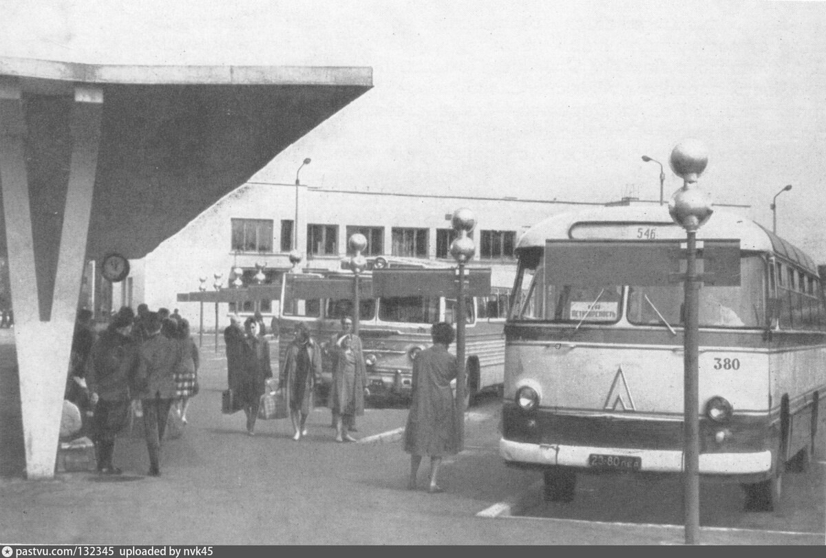 Фото из сети интернет.