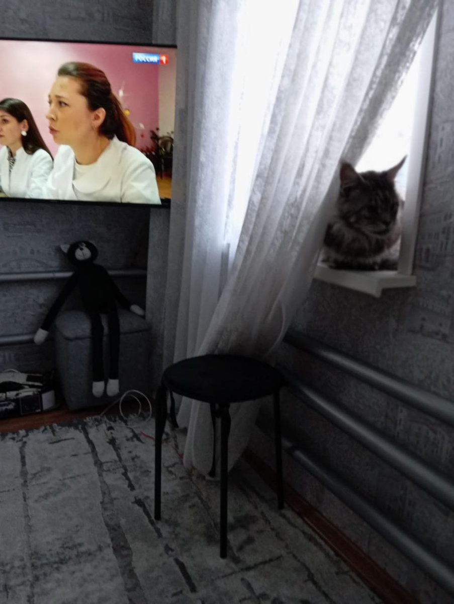 Любитель высоко наблюдать за семьей.