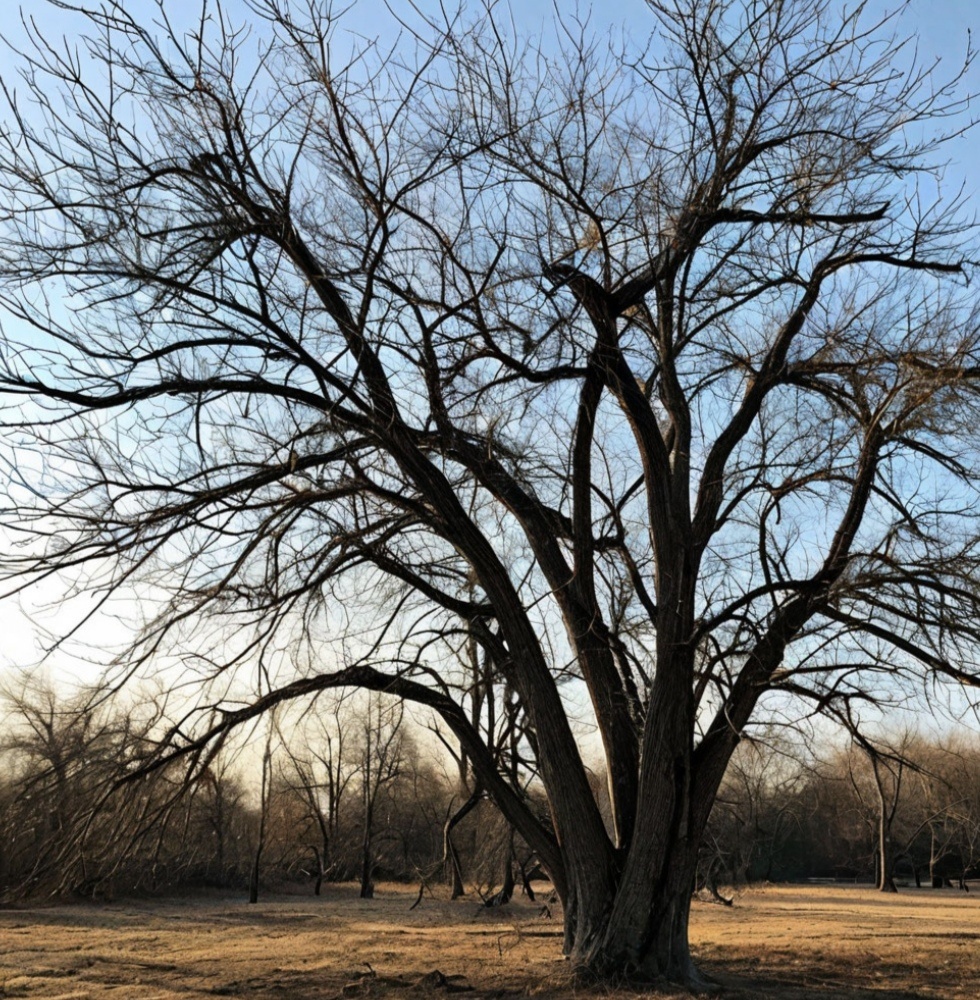 Сгенерировано нейросетью Шедеврум 