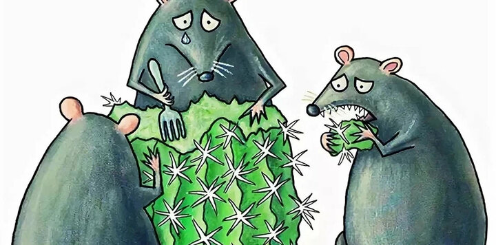 Мыши едят кактус