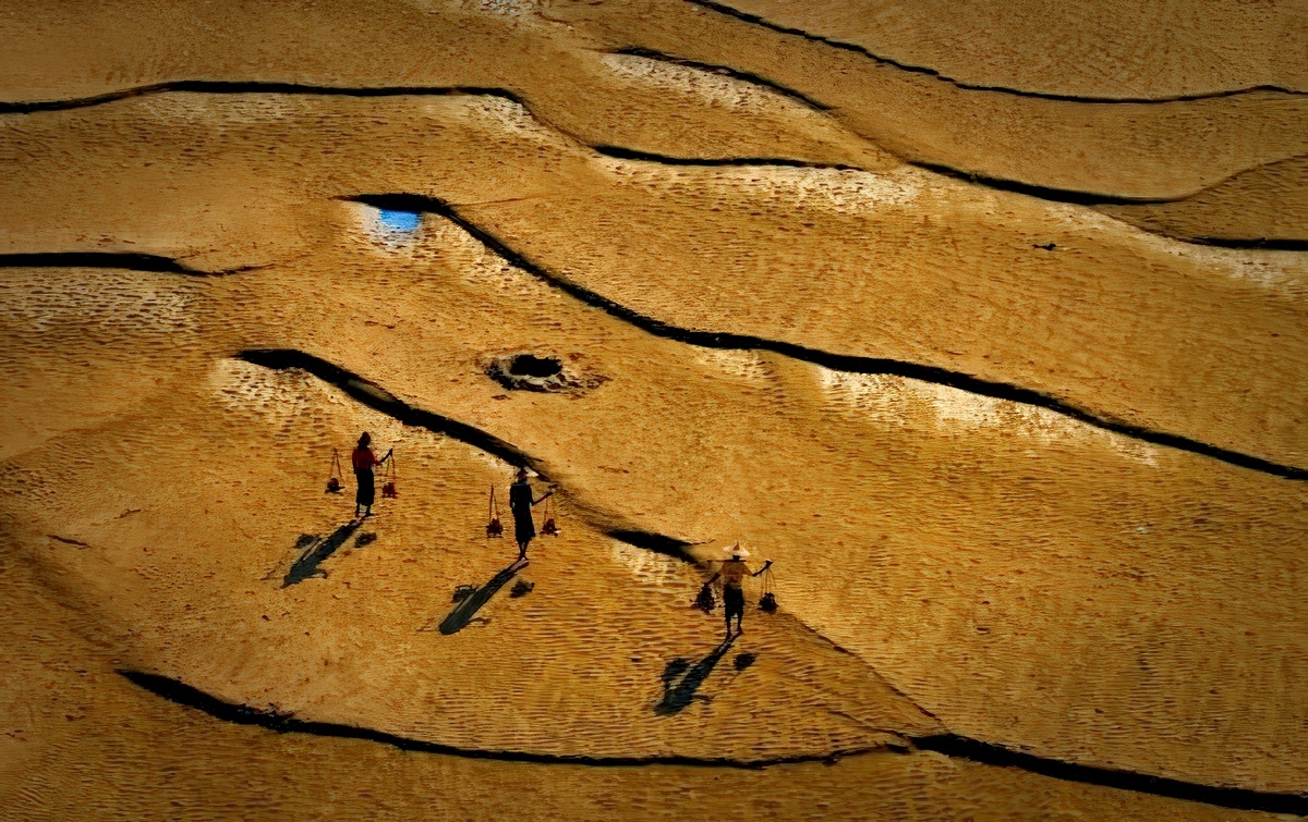 Мьянма, Пакхоуку. Местные жители несут воду по песчаной отмели в золотистом утреннем солнечном свете в городе Пакхоуку.