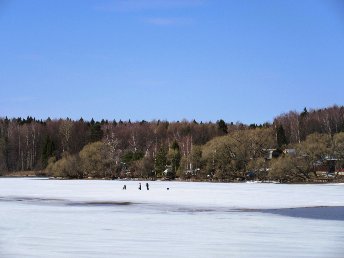 Фотографии: Антон Саков