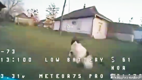     Фото: кадр из видео   
 Текст: Елизавета Шишкова
