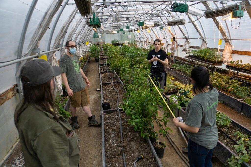 Sipping Streams Tea Company FB