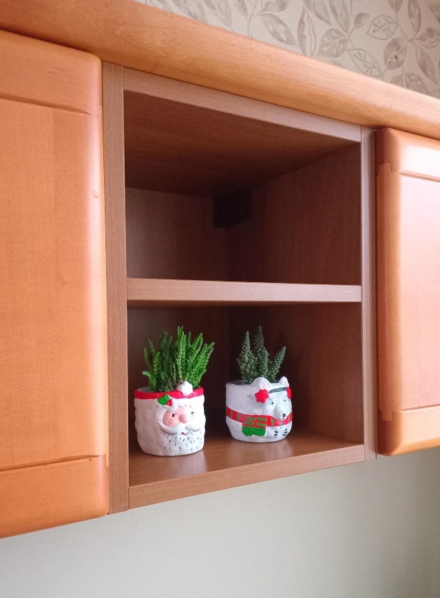 Такие суккуленты поставила над раковиной