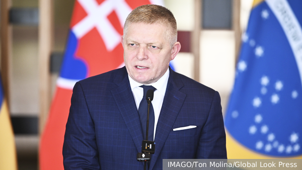     Фото: IMAGO/Ton Molina/Global Look Press   
 Текст: Елизавета Шишкова