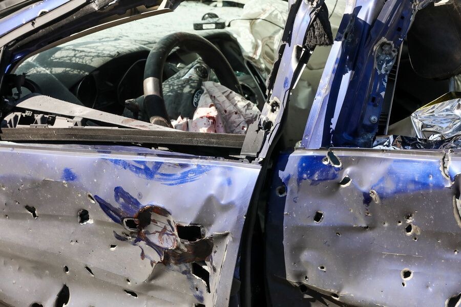     / Источник: © Павел Колядин/ТАСС