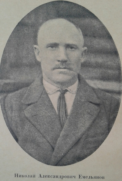 Николай Емельянов. Фото vk.com