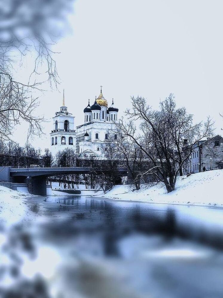     Фото: телеграм-канал АНО "Возрождение"