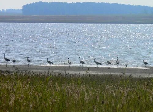 Природа Баганского района.