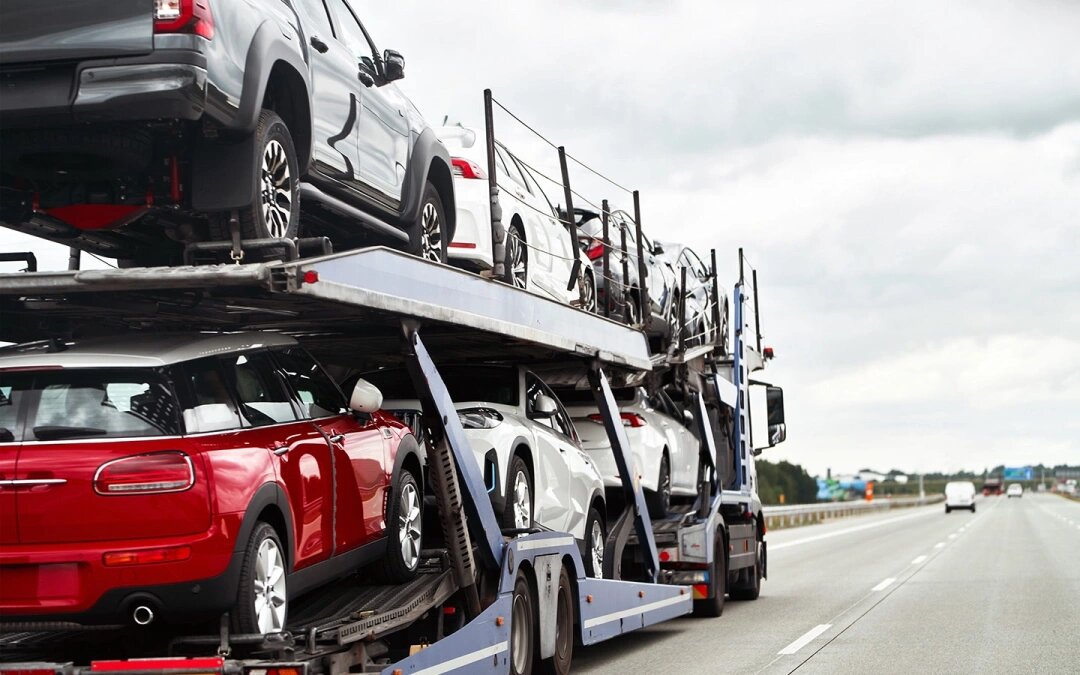 Фото: alexgo.photography / Shutterstock / FOTODOM