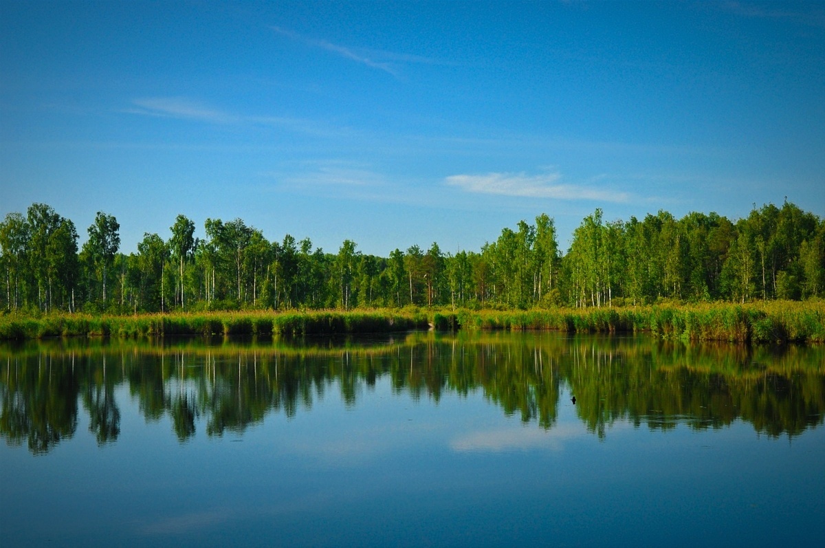 Автор фото Андрей Мещера