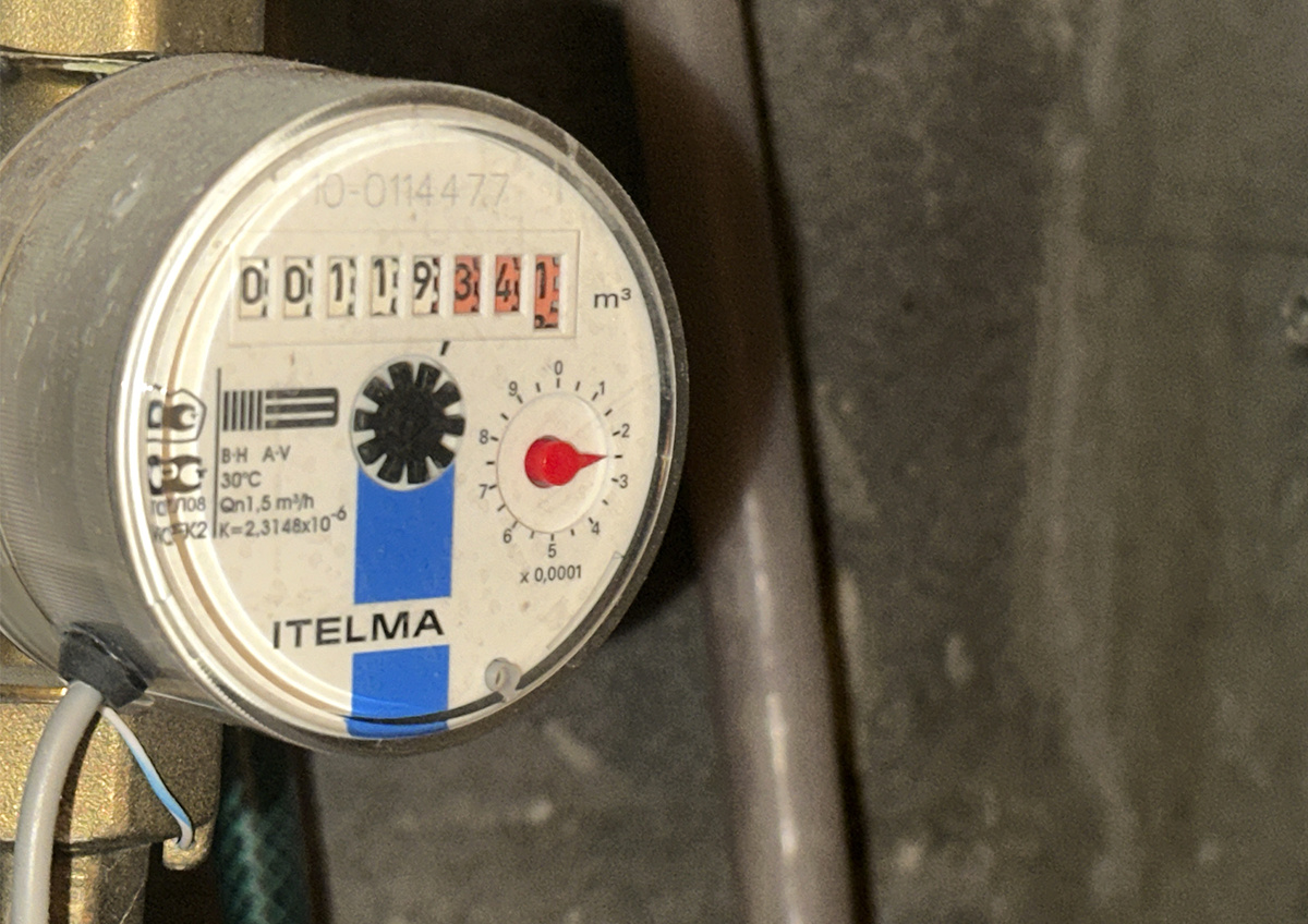 Фото © «Московская газета»