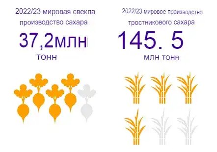Мировое производство сахара из свеклы и тростника в сезоне 2022 – 2023 года, источник: Ragus Sugars