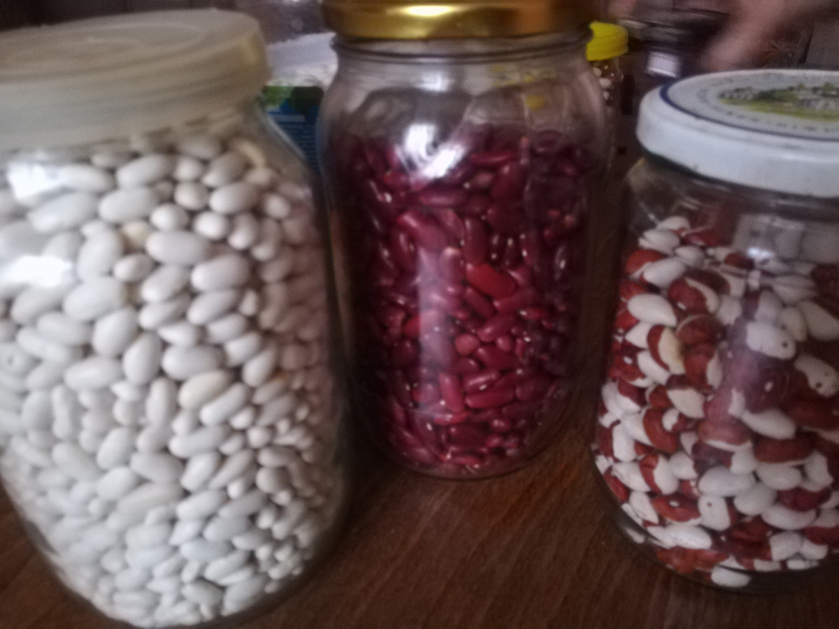 Фасоль "Панонски тетоварь" (белая), "Красная обыкновенная" и "Красная шапочка". Все три сорта выращиваем давно и очень ими довольны.